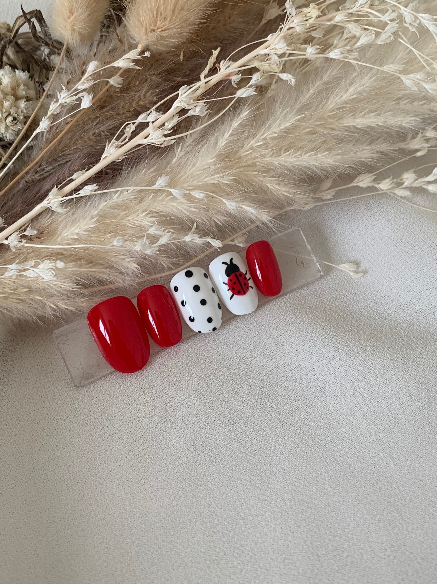 LADYBUG đ