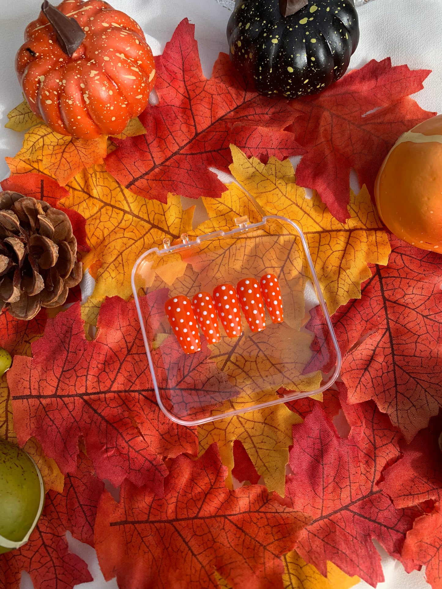 PUMPKIN POLKA