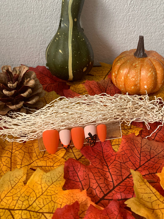 Pumpkin dreams
