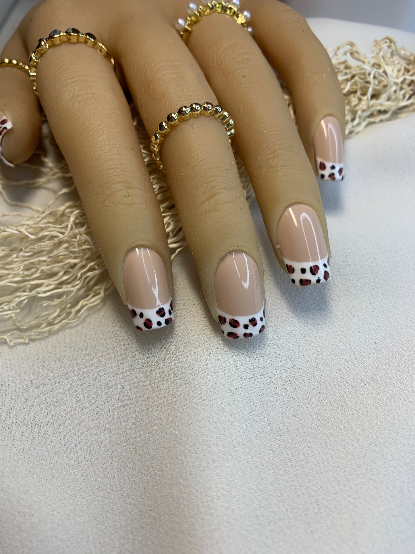 Modèle Savannah