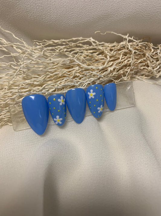 Daisy blue