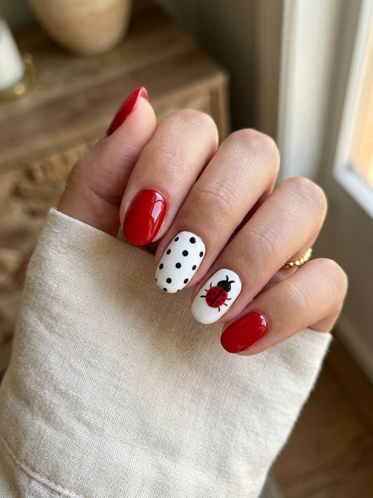 LADYBUG 🐞