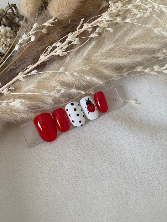 LADYBUG 🐞